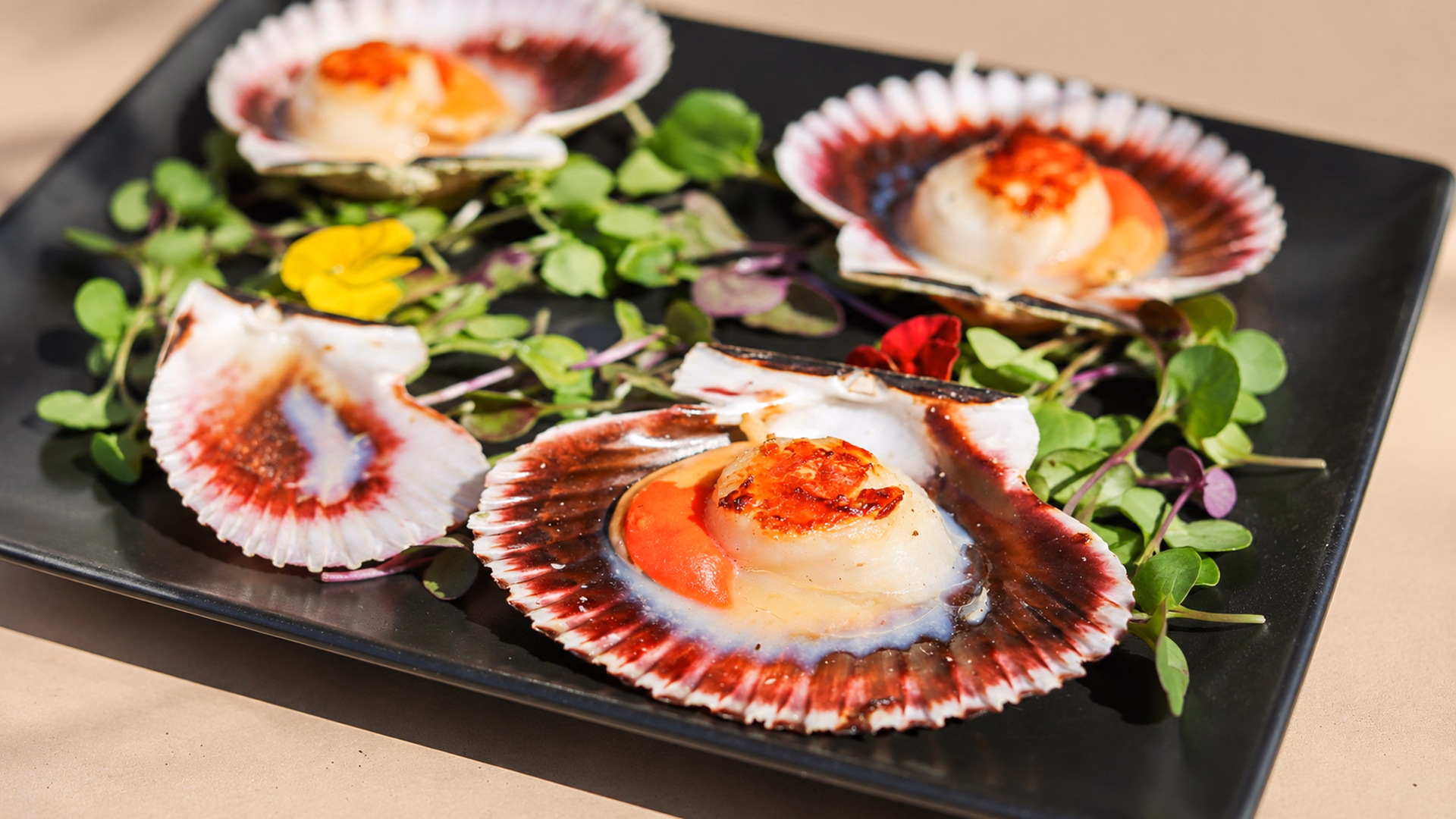 Zamburiñas a la plancha, un sabor para compartir