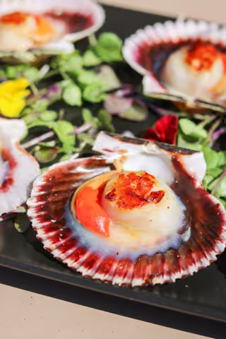 Sabores del mar